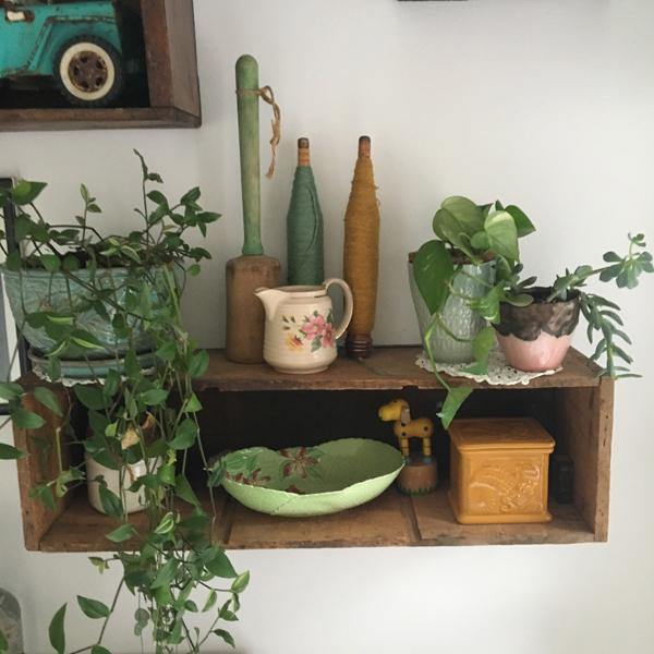 Why You Need A More Plant-Based Home - Love My Mat