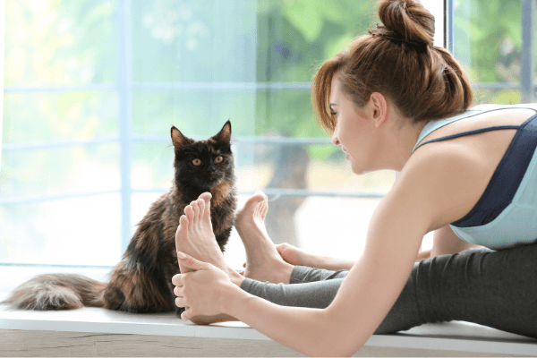Yoga with Cats for Relaxation