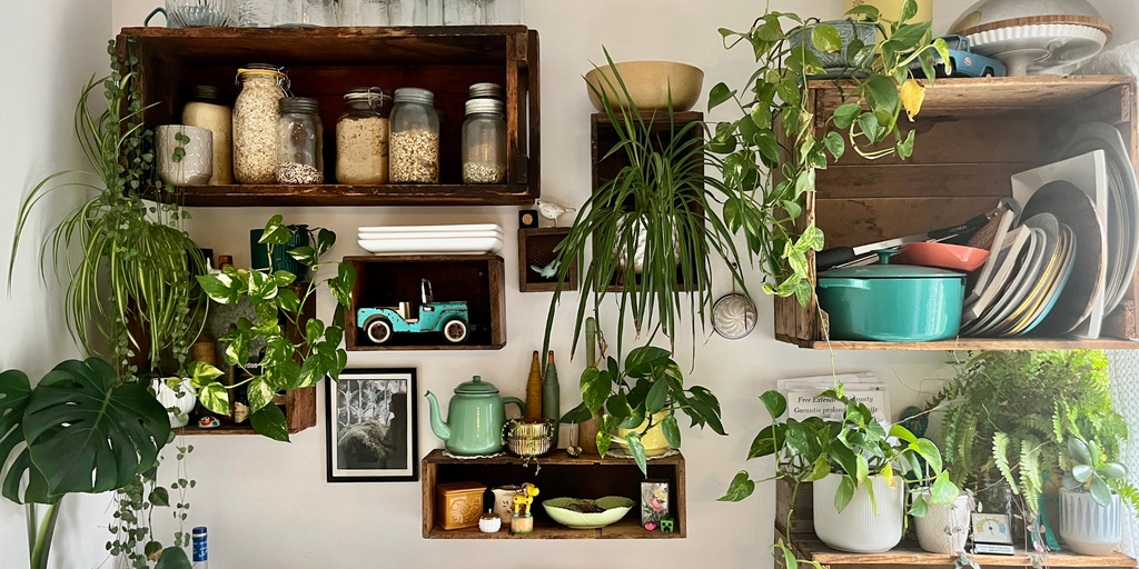 Essential Oils & Home Goods - Love My Mat