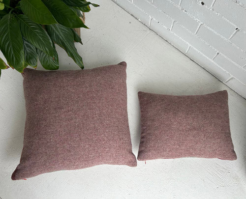 Two burgundy cushions on a white surface with a plant in the corner.