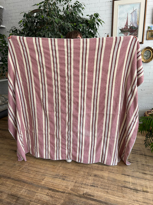 Striped blanket draped over a chair in a room with plants and a painting on the wall.