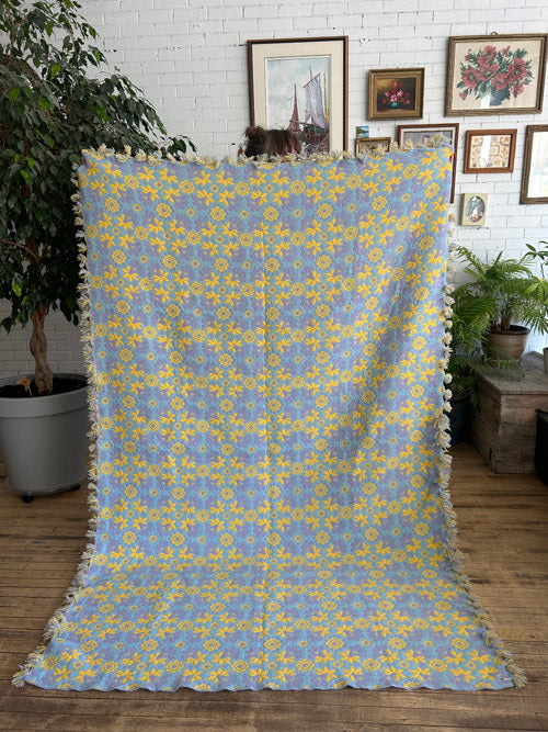Blue and yellow patterned blanket draped over a chair in a room with plants and framed pictures on the wall.
