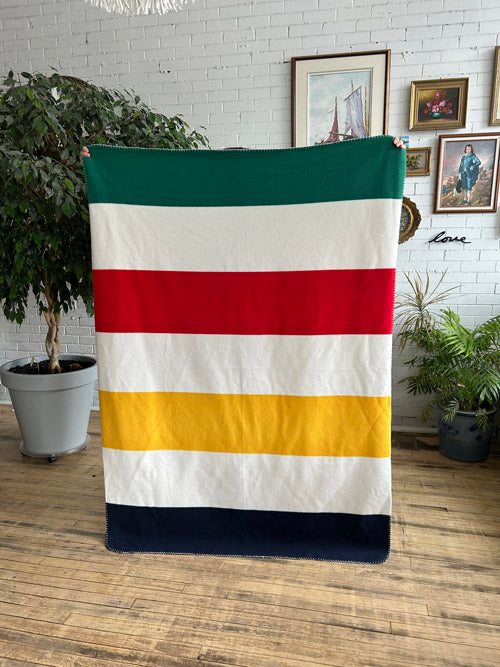 Colorful striped blanket on a wooden floor with plants and framed pictures in the background.