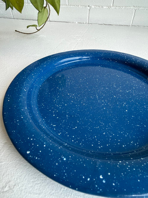 Blue speckled enamel plate on a white surface with a plant in the background